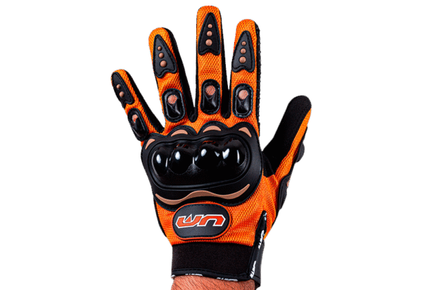 GANTS